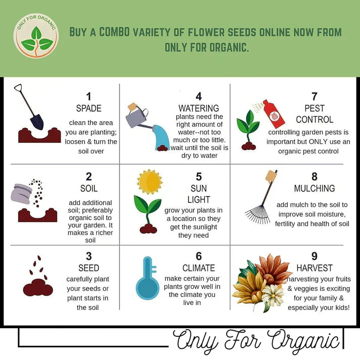 Premium Flower seeds